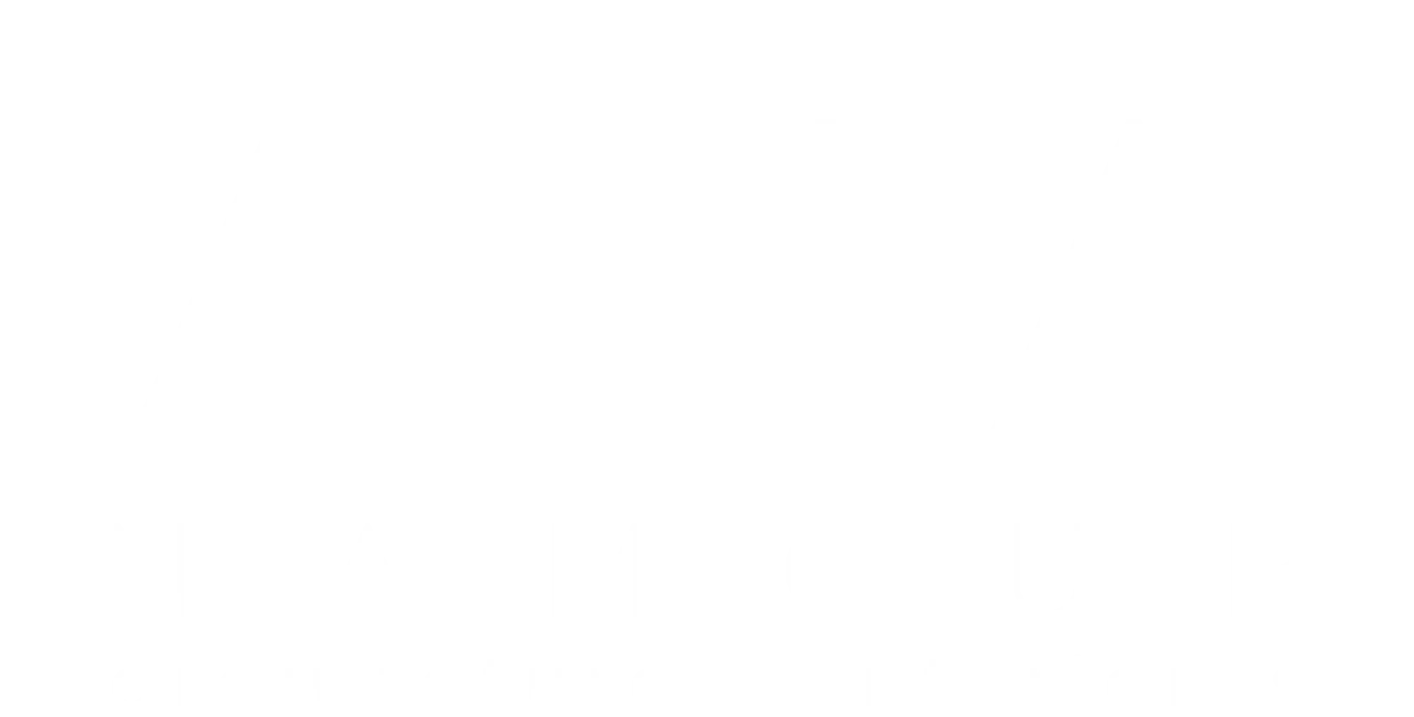ana namour logo principal white